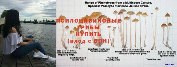 мет Володарск